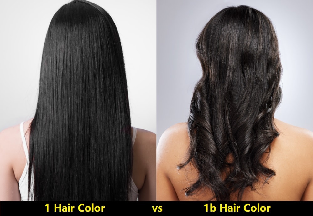 1 vs. 1b Hair Color