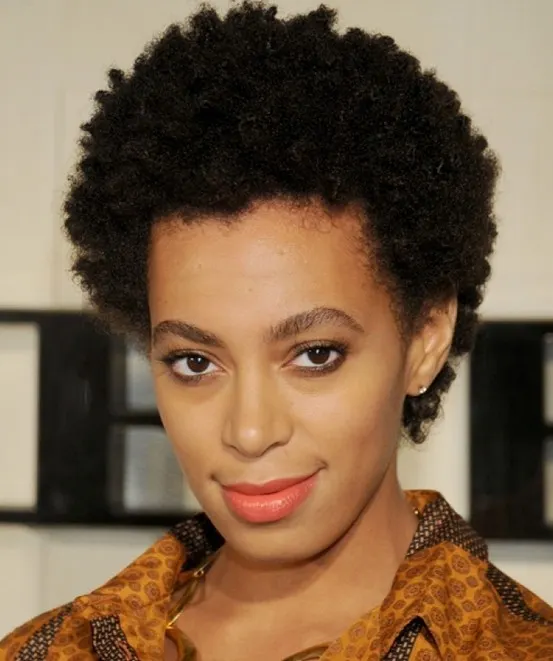 Short Natural Hairstyles for Women 3