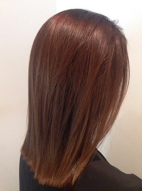 Reddish shine chestnut brown hair color