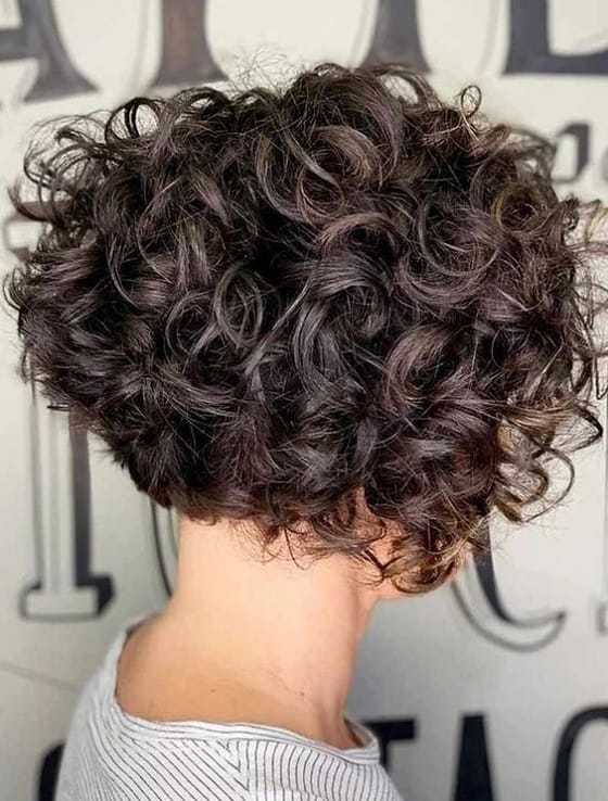 3B Curly Wedge Haircut