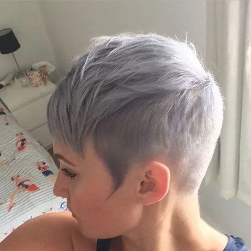 Purple Short Grey Hair color idea 