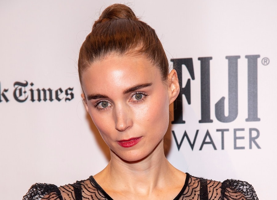 Actrees Rooney Mara with Brown Hair Updo and Green Eyes