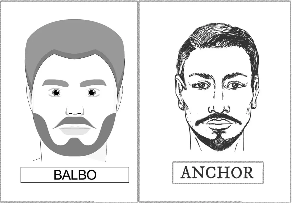 Balbo Beard vs. Anchor Beard
