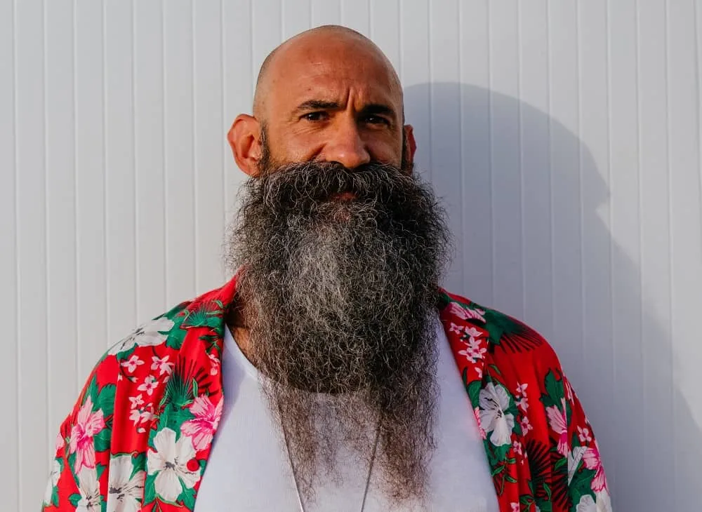 Bald men's beard with walrus mustache