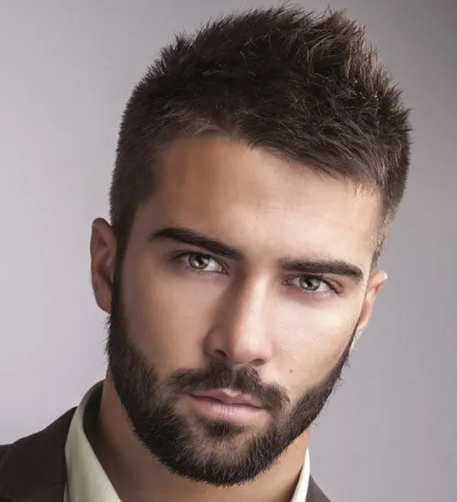 mens Professional Beard Styles with Mustaches