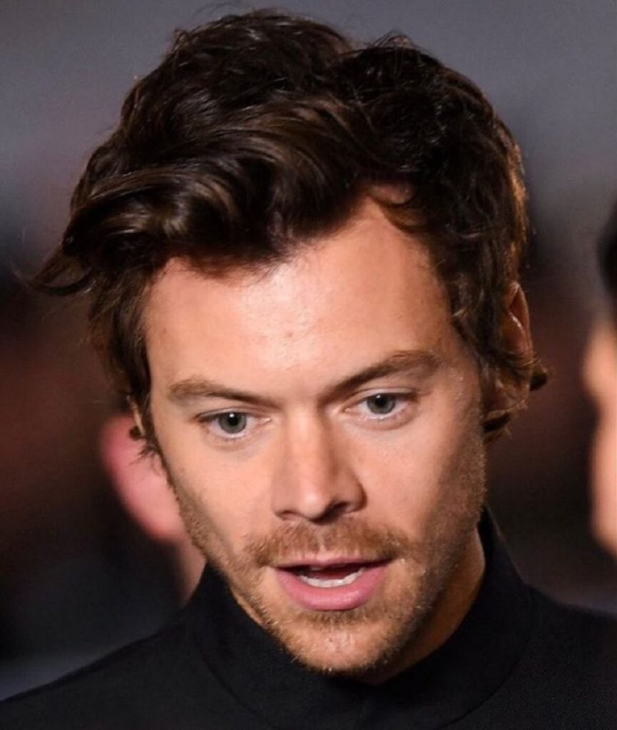 Bearded Celebrity Harry Styles With Triangular Face