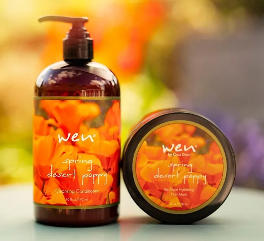 Best Salon Treatments for Dry Damaged Hair - Wen Re-Moist