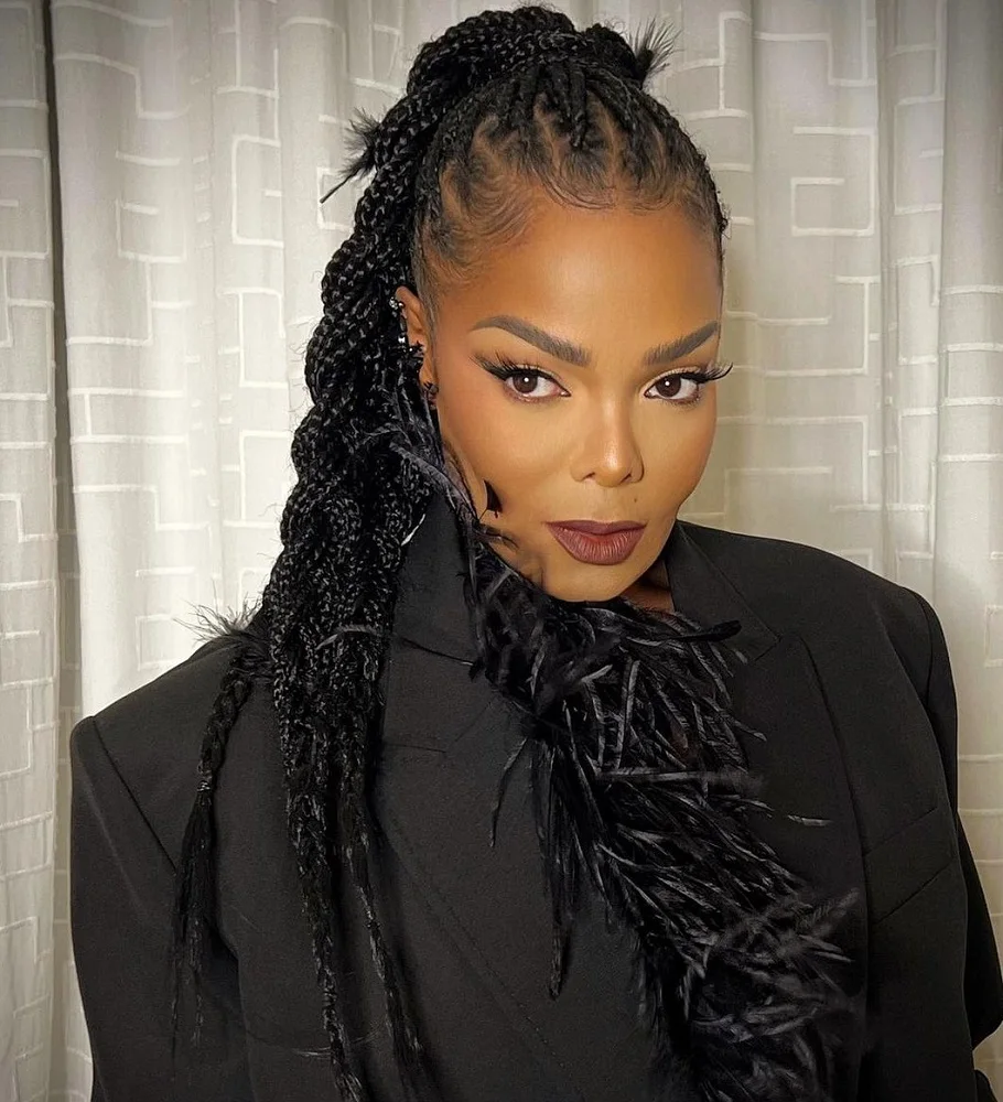 Black celebrity with Braids - Janet Jackson