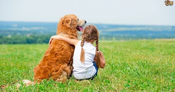 little girl braided hair