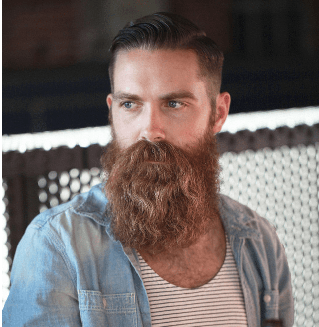 Burly Beard for Men