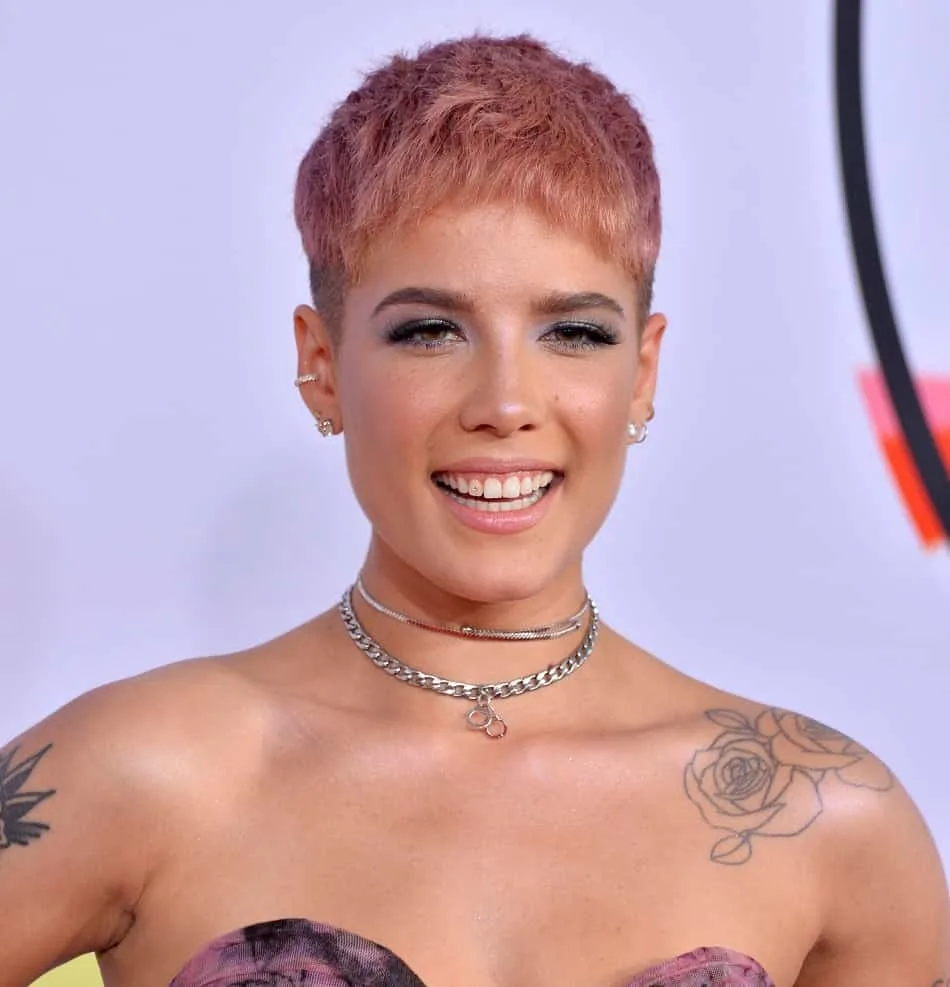 Celebrity Singer with Pink Pixie - Halsey