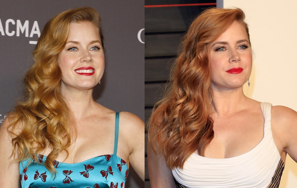 Celebrity with Red Hair vs Blonde Hair - Amy Adams