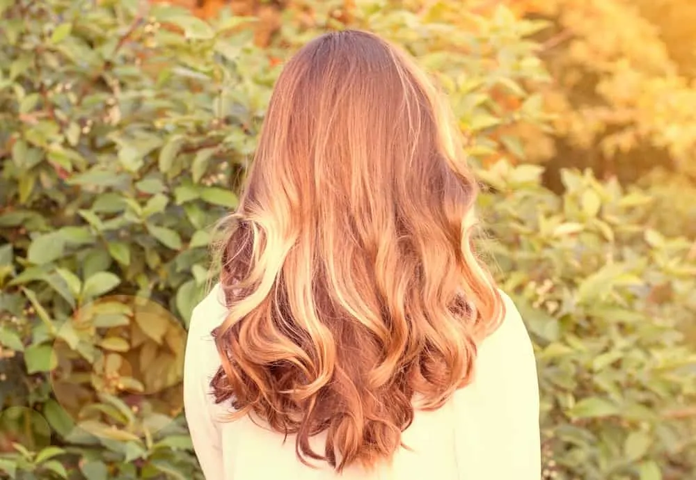 chestnut blonde hair color chart