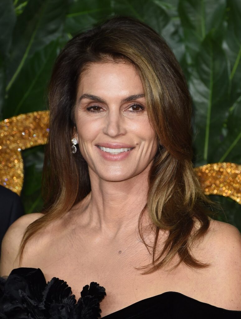 Cindy Crawford With Long Brunette Hair