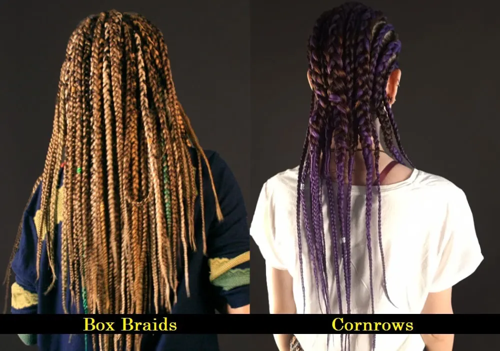 Box Braids and Cornrows