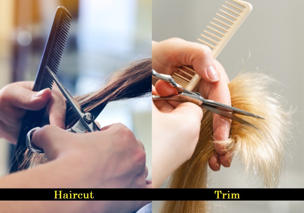 The difference between a cut and a haircut