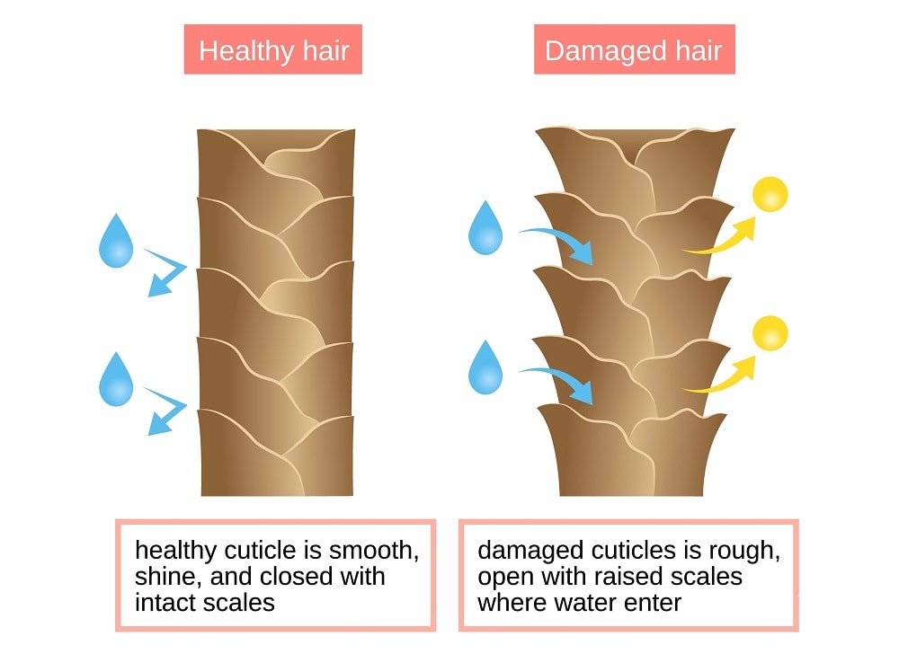 Factors Influencing How Often You Can Highlight Hair - Hair Health