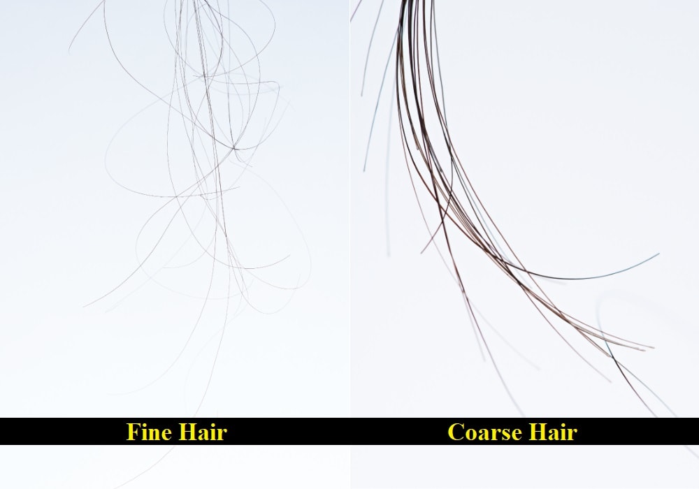 fine hair vs thin hair