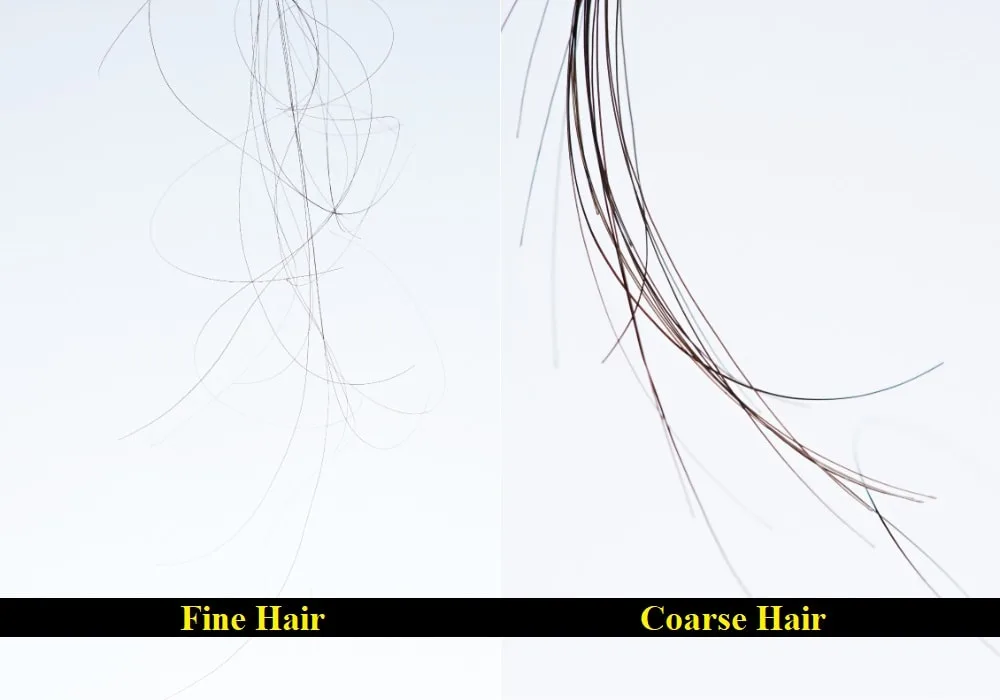 Differences Between Fine Hair and Coarse Hair
