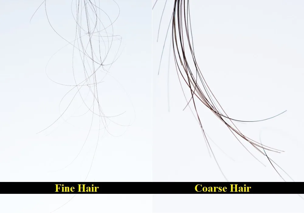 Fine Hair Strand 5590