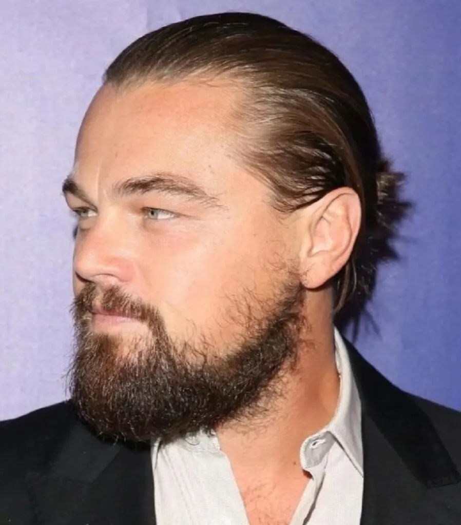 Leonardo DiCaprio Hollywoodian Beard