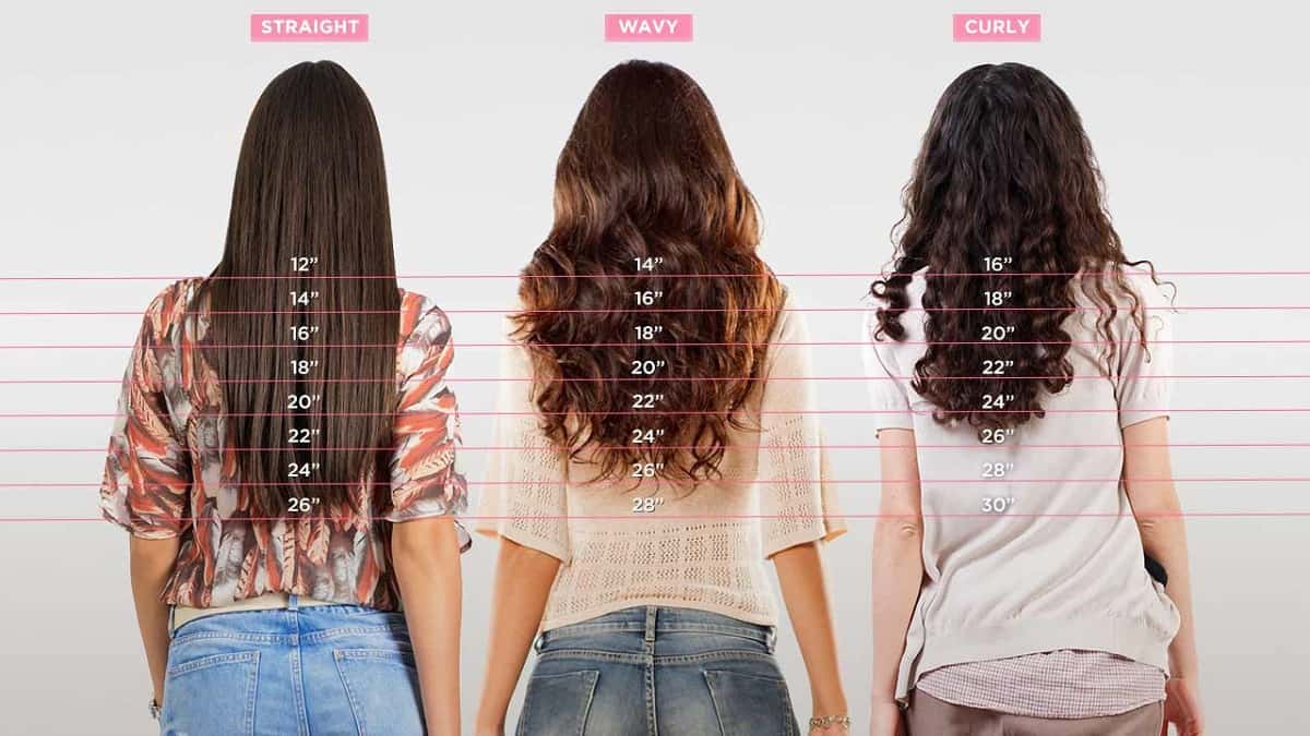 Hair Length Chart: Know Your Hair Length Easily