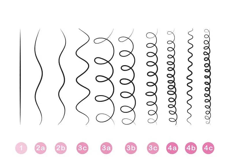 Hair Type Categories