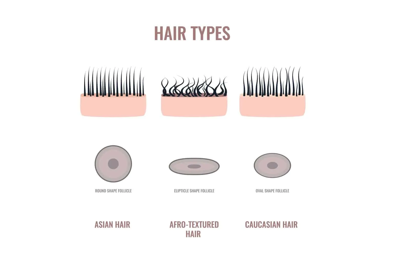 Asian Hair Vs. Caucasian Hair: How Are They Different?