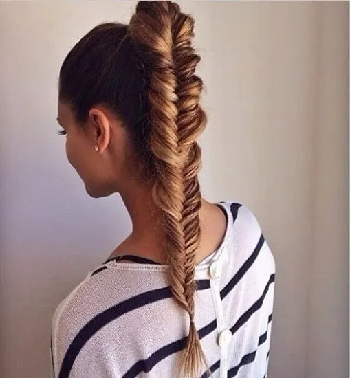 Fishtail Pony Hairstyle for Wet hair