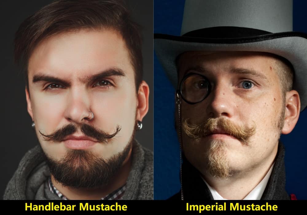 Handlebar Mustache vs. Imperial Mustache 