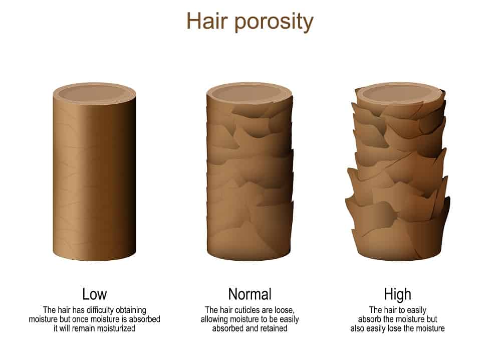High Porosity Hair Vs. Low Porosity Hair