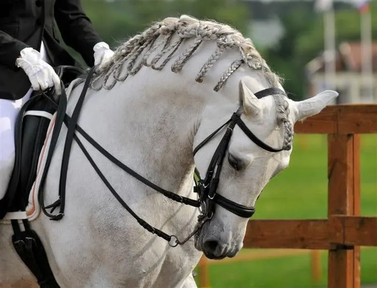 white color Horse Mane Braid