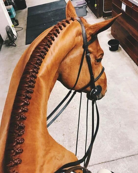 Horse Mane buns Braiding hairstyle