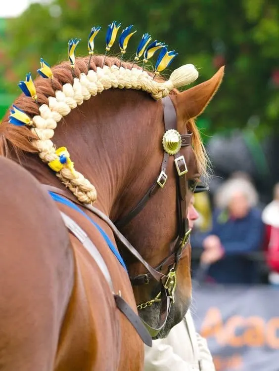 Horse Mane Faux Braid hair idea