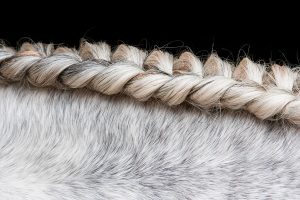 13 Smartest Horse Mane Braiding Ideas – HairstyleCamp