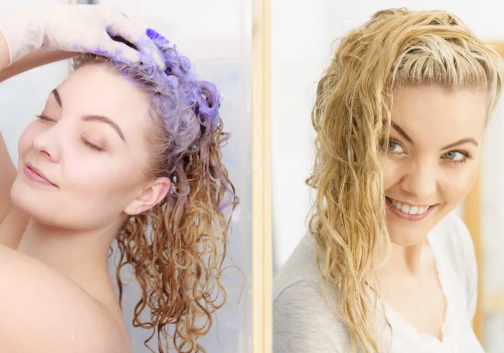 How does purple pigment maintain light colored hair?
