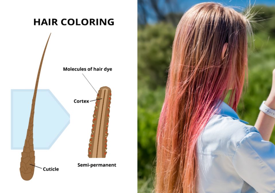 Does Semi Permanent Hair Dye Wash Out Completely HairstyleCamp