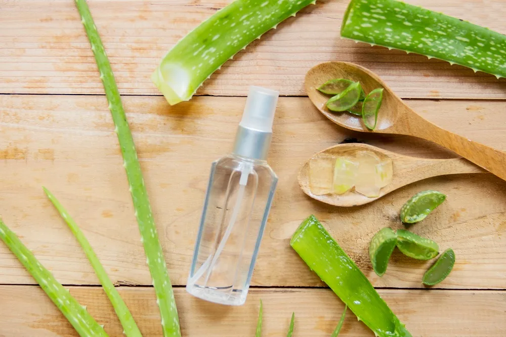 How To Use Aloe Vera for Hair - As A Styling Texturizer