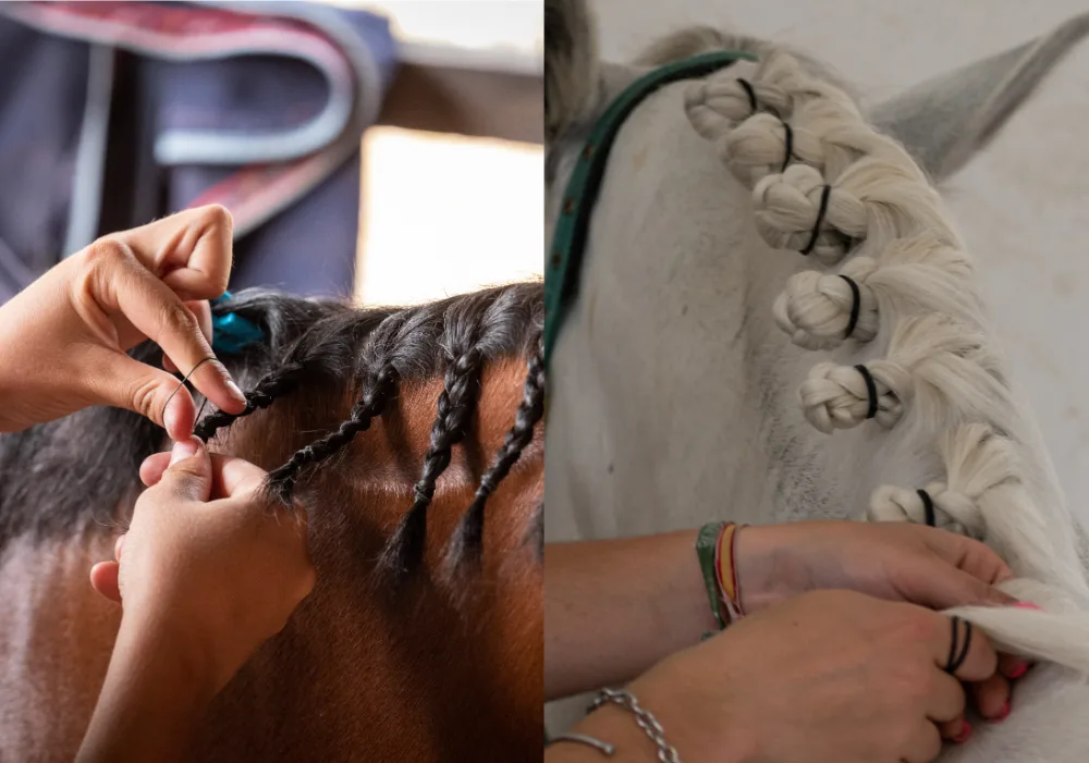 How to Braid Horse Mane with Rubber Bands