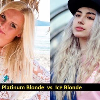 Major Differences Between Platinum Blonde and Ice Blonde
