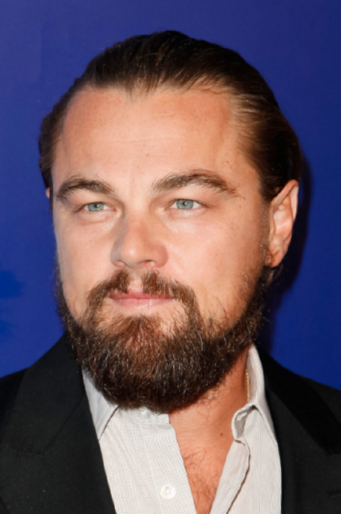 Leonardo DiCaprio with a full beard