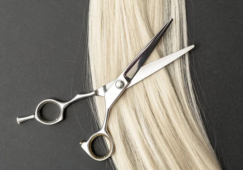 Long-Blade Scissors