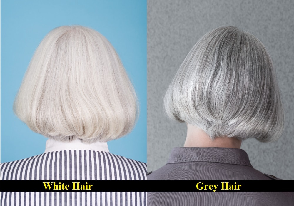 Grey Vs. White Hair: What Are The Differences? – HairstyleCamp