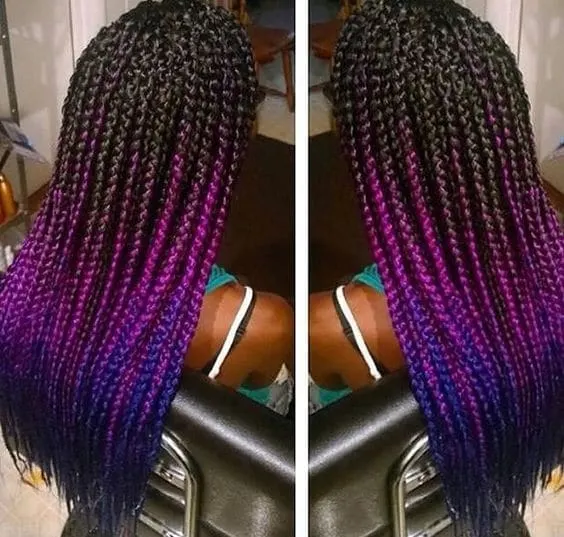  Black, Purple and Blue Marley Braid hair color