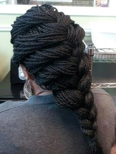  Two Strand Twists Fish Braid hairstyle
