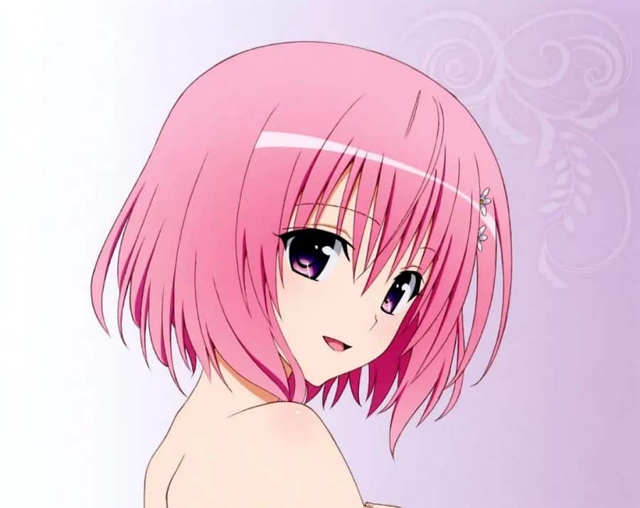 Pink Haired Anime Girl Momo Belia Deviluke