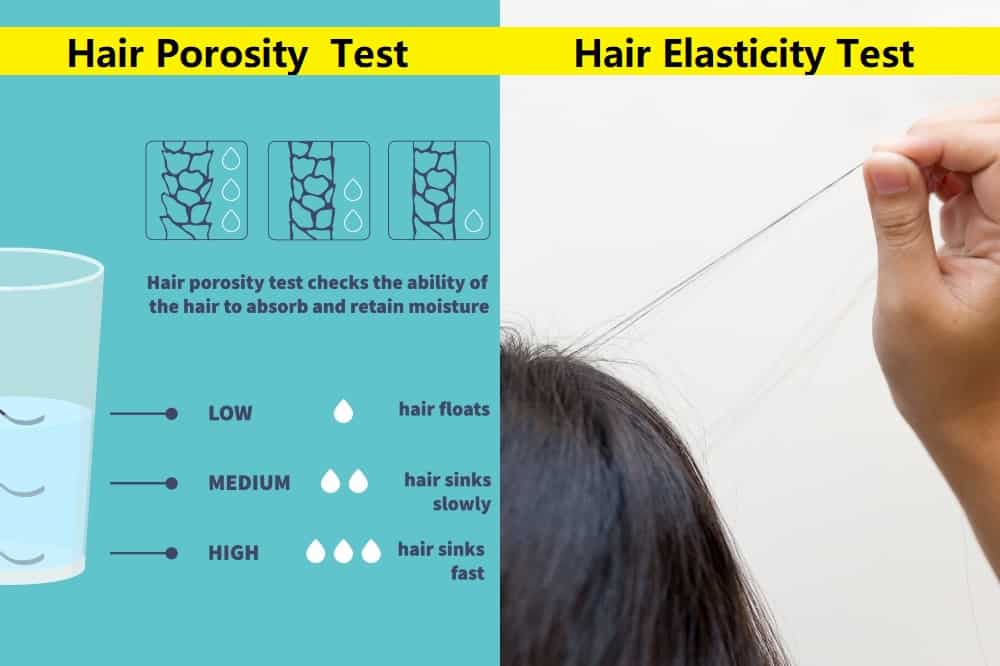 Porosity and Elasticity Test