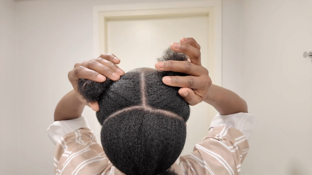 Back view of natural hair sectioned into three parts for the Bantu knot hairstyle.