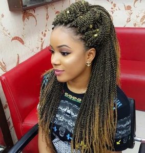 55 of The Best Senegalese Twist Hairstyles (March. 2024)