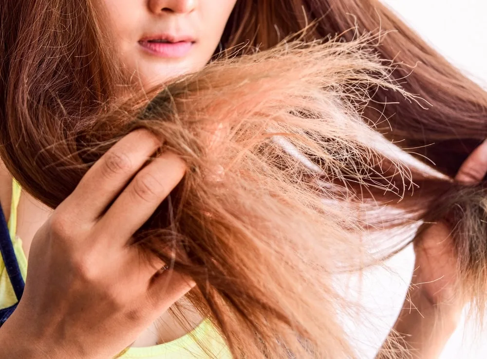 Signs You Should Stop Bleaching Your Hair - Split Ends